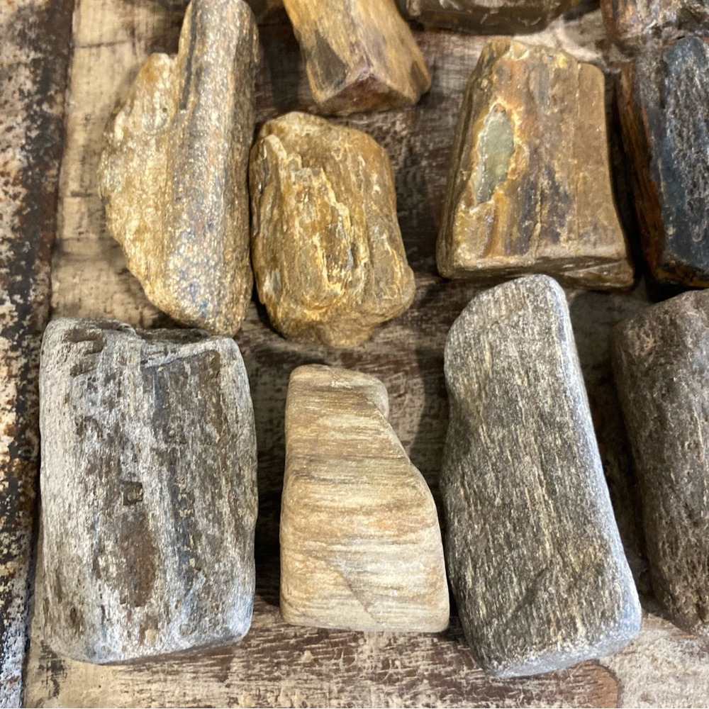 17pcs Petrified Wood 🪵 Rock Collection - Picture 5 of 17